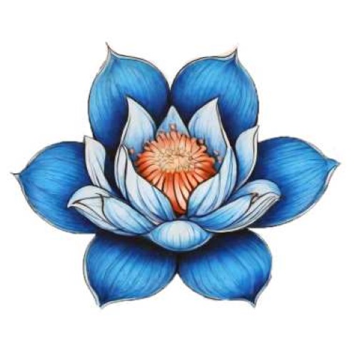 dibujo flor de loto tatuaje