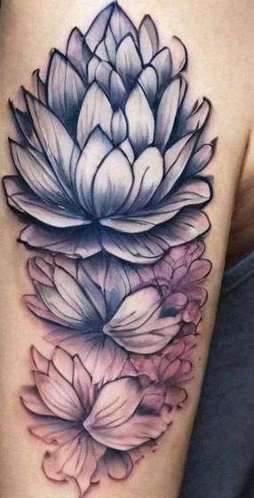 flor de loto tatuaje diseño